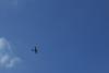 Ferte 2006 051